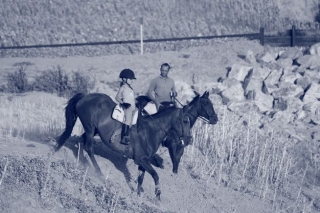  horseback riding in the countryside 